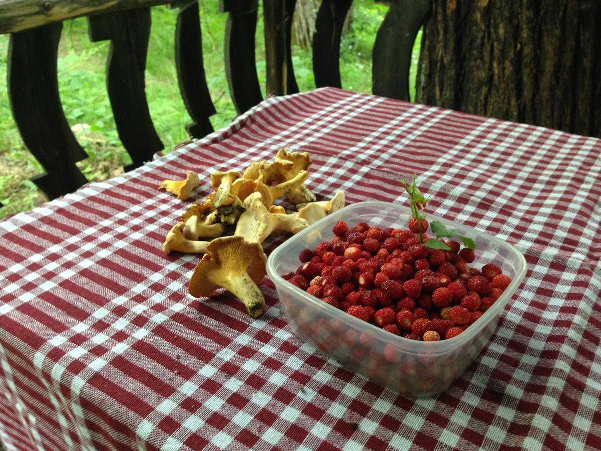 Kitka Hostel - Guest House Vratnica Luaran gambar