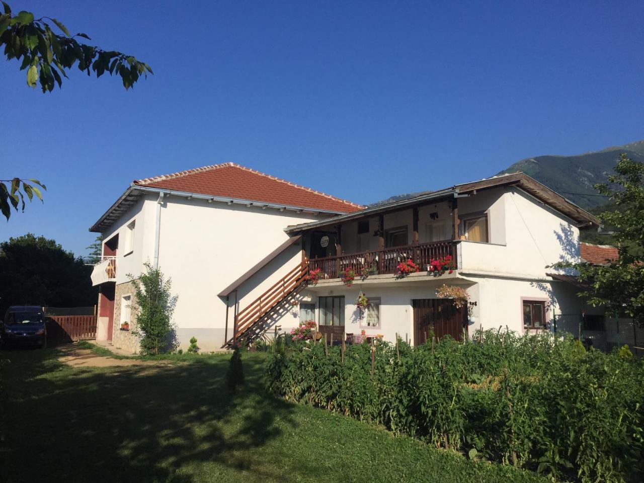 Kitka Hostel - Guest House Vratnica Luaran gambar